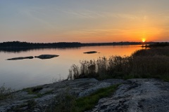 IMG_0884