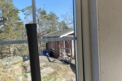 IMG_4582