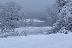 IMG_3674