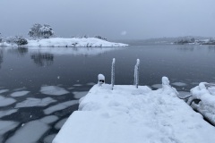 IMG_3681