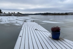 IMG_3957