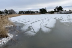 IMG_3960