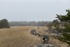 IMG_4475