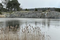 IMG_1245-scaled