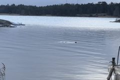 IMG_1250-scaled