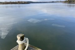 IMG_1798-scaled